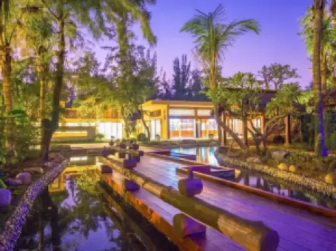 茂名の人気夜の人気シーン