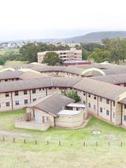 Universität Fort Hare