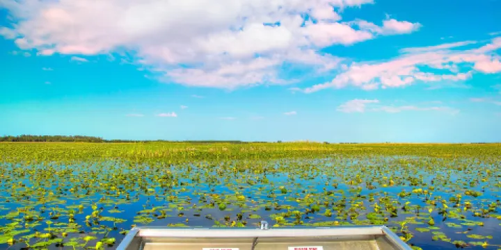 大沼澤地遊獵公園