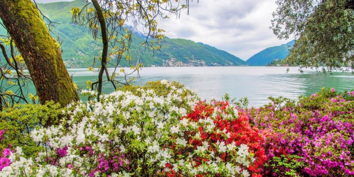Parco Ciani