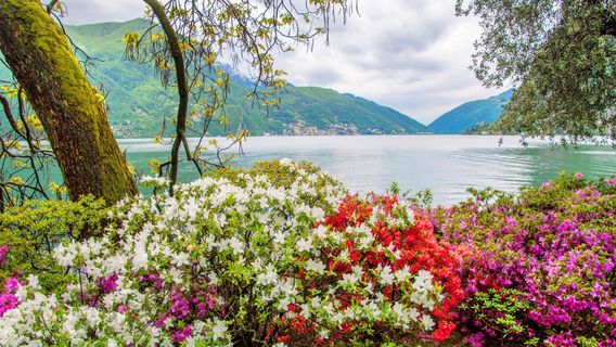 Lugano