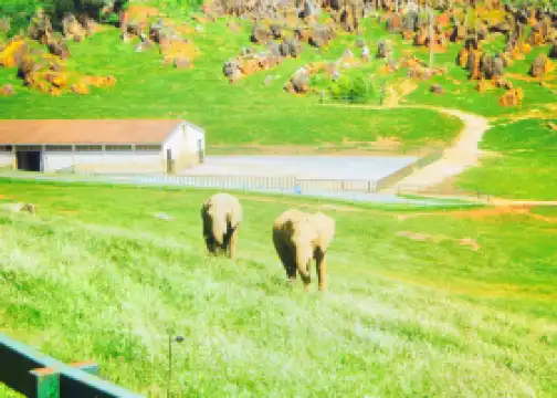 Cabarceno Nature Park