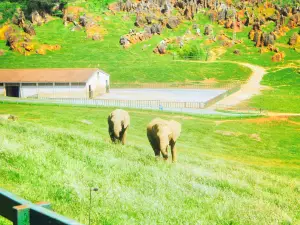 ナトゥラレサ・デ・カバルセノ公園