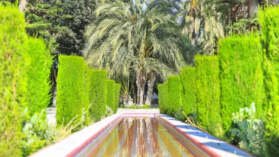 Palm Groves (Palmeral) of Elche