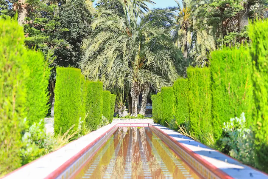 Palm Groves (Palmeral) of Elche