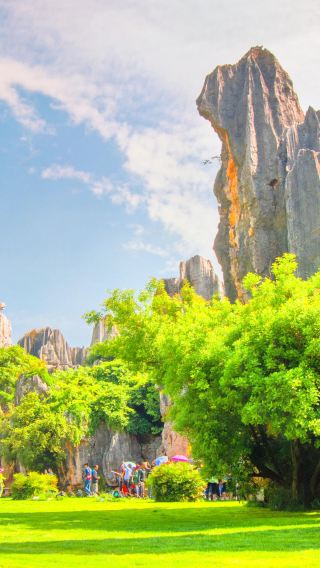 Foreign Tourists Private Stone Forest (Shilin) Guided Tour with Yiliang Roast Duck Lunch