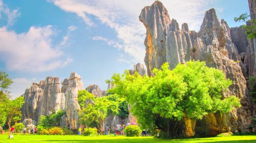 Stone Forest Scenic Area