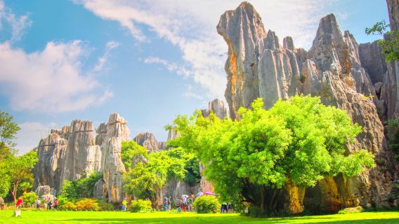 Site touristique de la Forêt de Pierre + Marché local en circuit privatisé