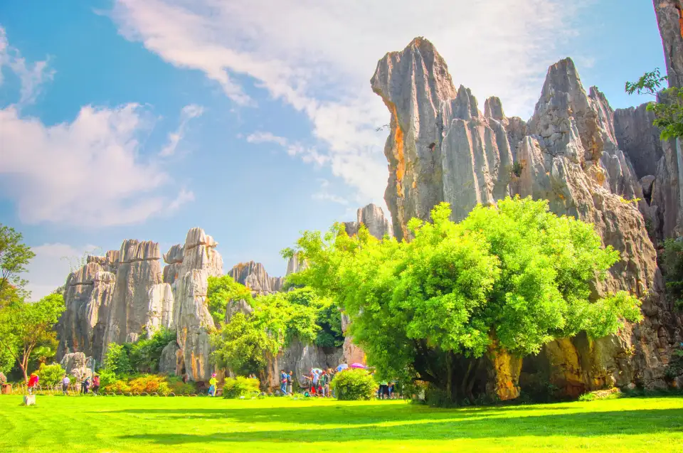 3_Stone Forest Scenic Area