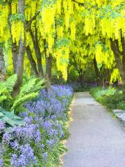 Jardin Botanique de VanDusen