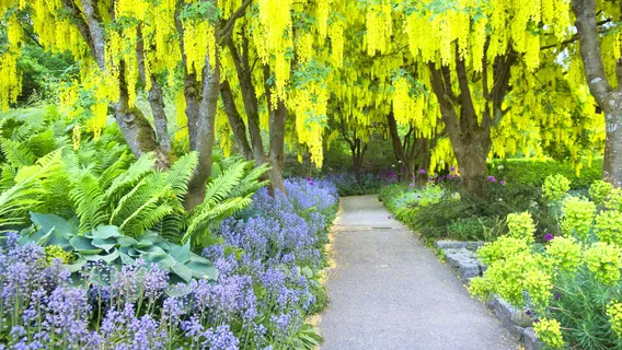 VanDusen Botanical Garden