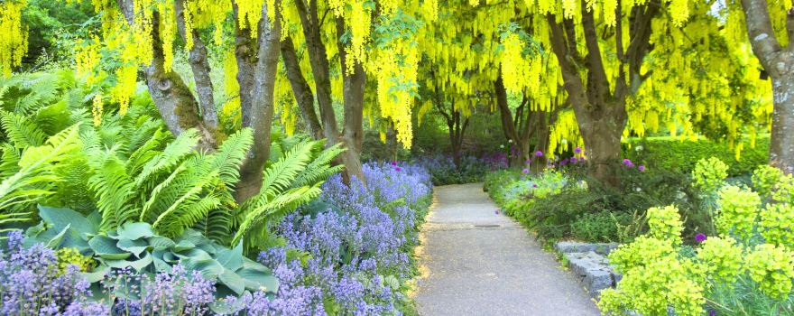 VanDusen Botanical Garden