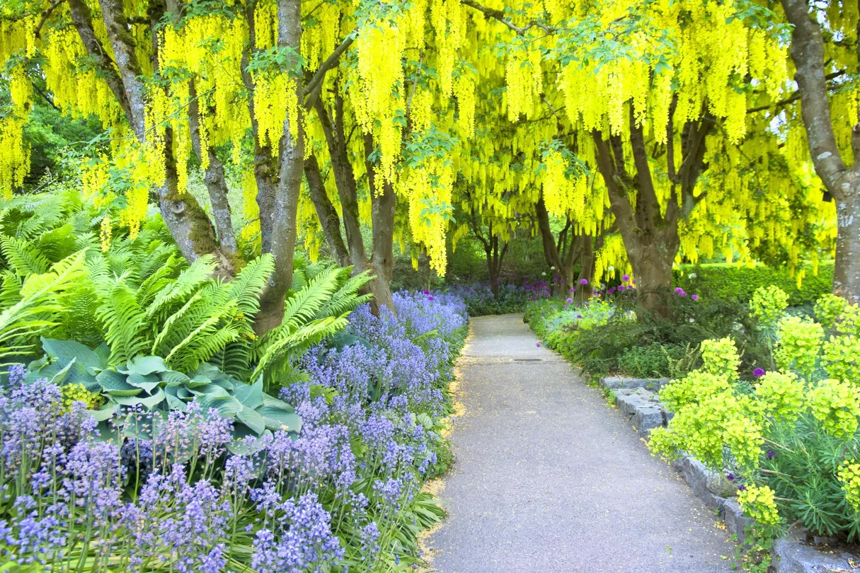 1_VanDusen Botanical Garden