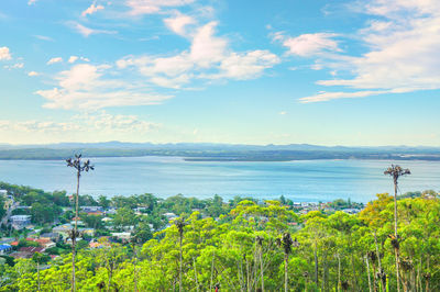 Tomaree Mountain