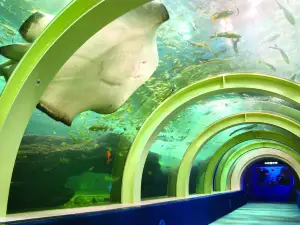 Asamushi Aquarium