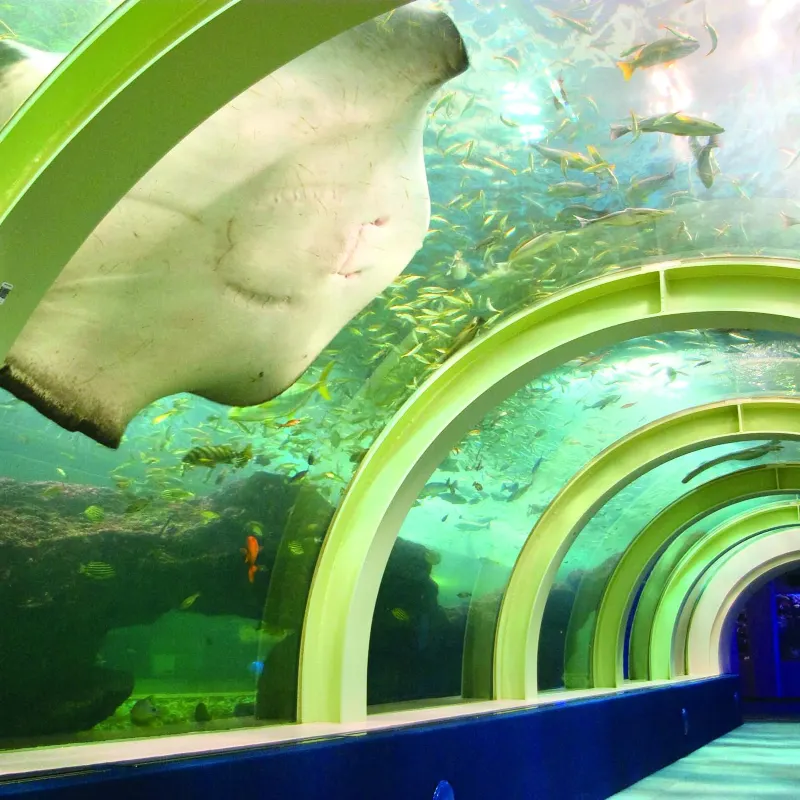 淺蟲水族館