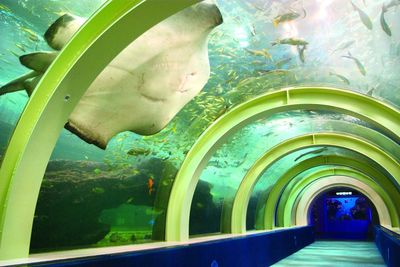 Aquarium Asamushi