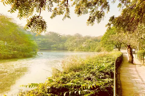 National Zoological Park, Delhi