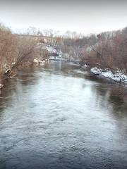 Cannon River Wilderness Area