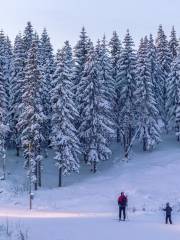 Åre ski resort