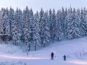 奧勒滑雪場