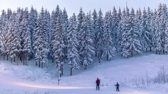 奧勒滑雪場