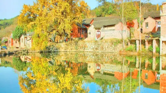 Ginkgo Village