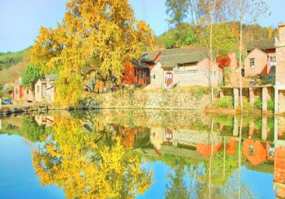 Ginkgo Village