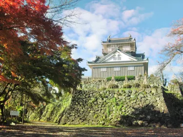 Echizen Ono Castle