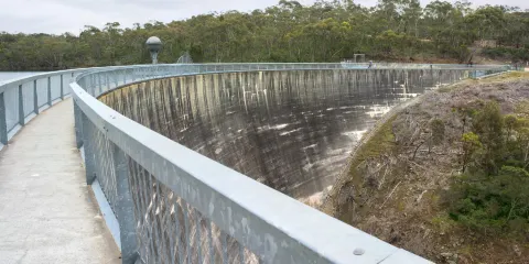 威廉斯城的回音牆