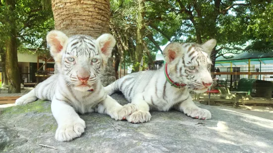 しろとり動物園