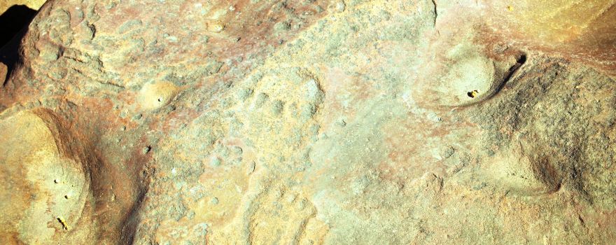 Matsieng Footprints