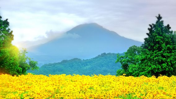Tỉnh Tottori