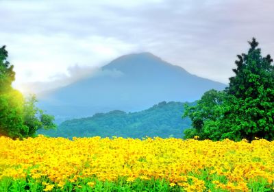 Mt. Daisen