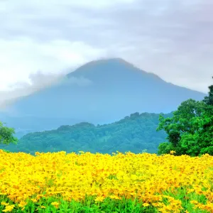 大山