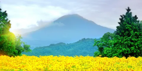 大山