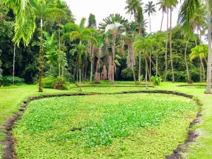 The Exotic Garden of Roscoff