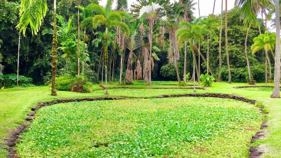 Tahiti Botanical Garden