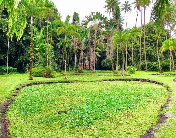 羅斯科夫 自由行套票