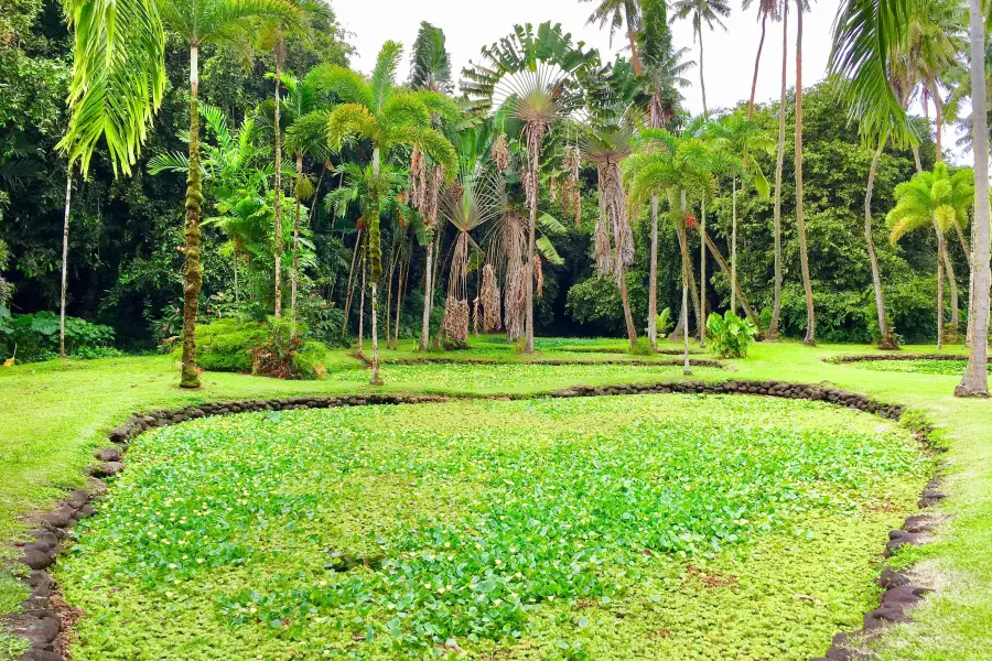 塔西提植物園