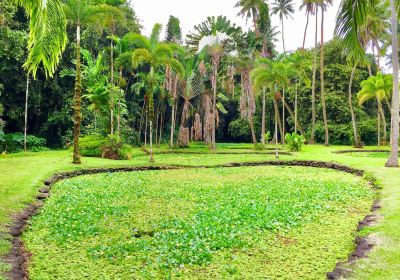 The Exotic Garden of Roscoff