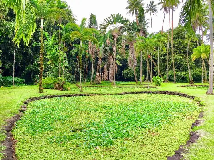 Hotel a Tahiti