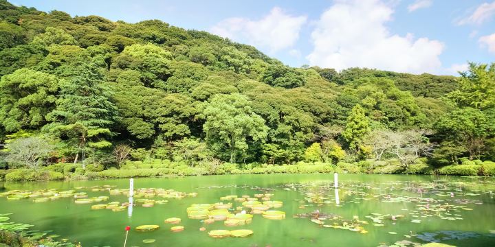 Beppu Park