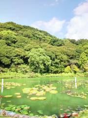 Beppu Park