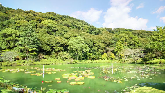 Beppu