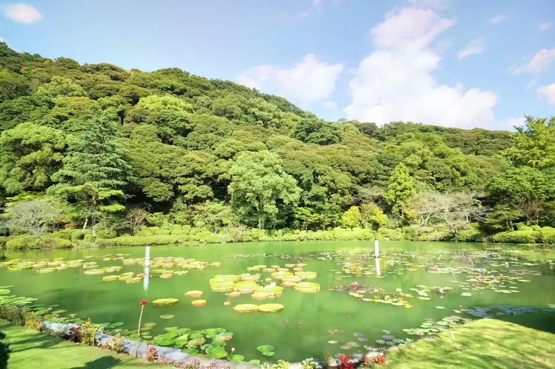 Hotels near Beppu Park