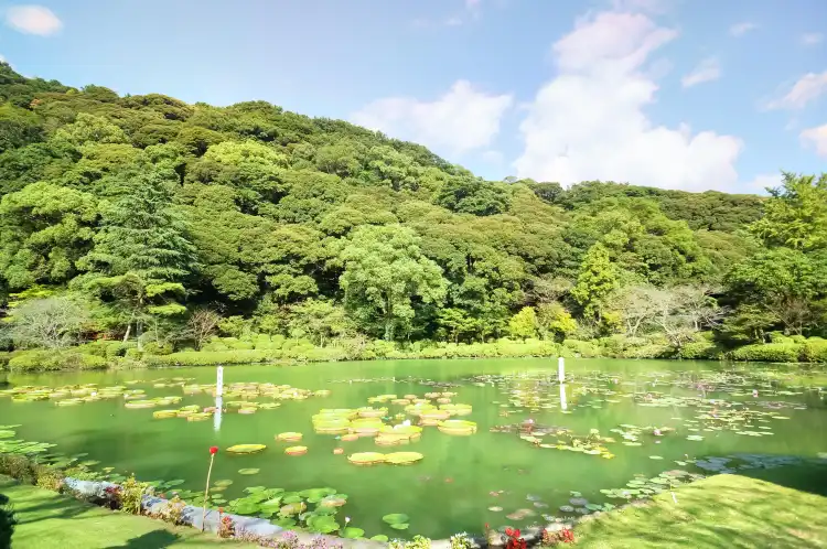 Hotels near Beppu Park