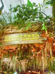 Grandview Rainforest Ecology Botanical Garden