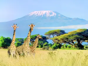 Mount Kilimanjaro