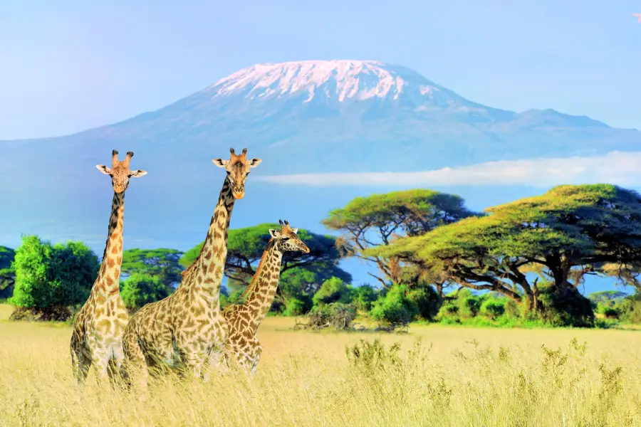 Mount Kilimanjaro